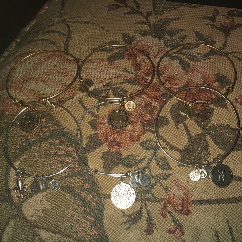 Alex and ani 6